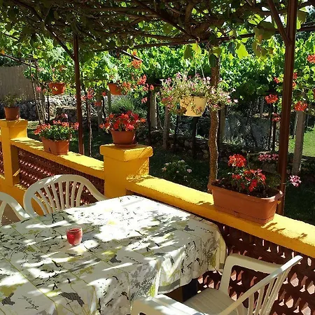 Guest house Milka Holiday 4*