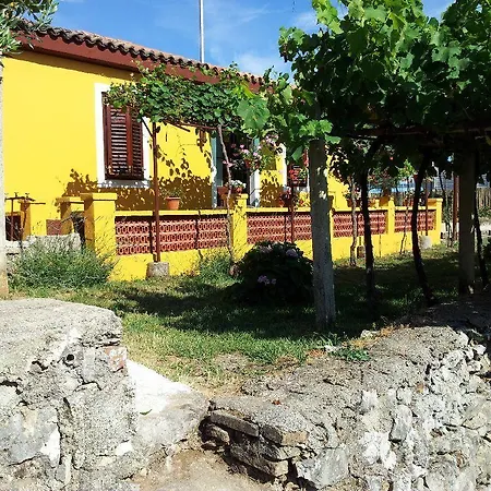 Guest house Milka Holiday 4*